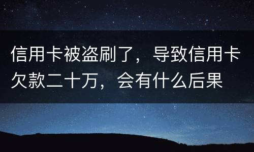 信用卡被盗刷了，导致信用卡欠款二十万，会有什么后果