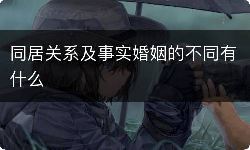 同居关系及事实婚姻的不同有什么