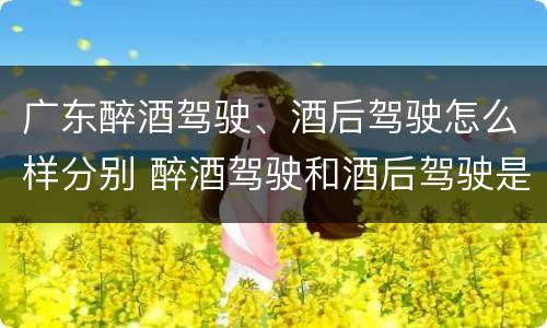 广东醉酒驾驶、酒后驾驶怎么样分别 醉酒驾驶和酒后驾驶是怎么区分的