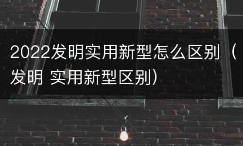 2022发明实用新型怎么区别（发明 实用新型区别）