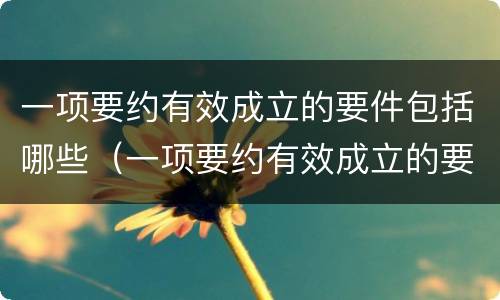 一项要约有效成立的要件包括哪些（一项要约有效成立的要件包括哪些内容）