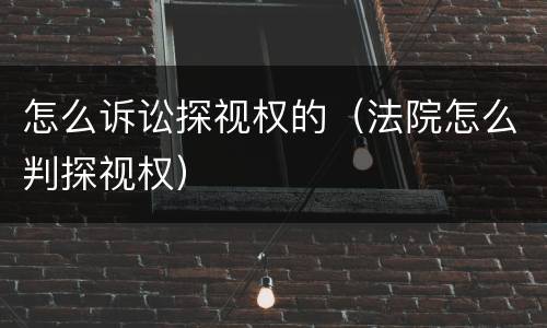 怎么诉讼探视权的（法院怎么判探视权）