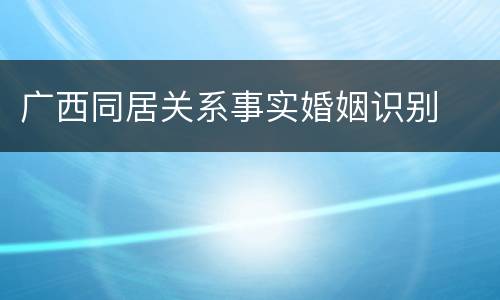 广西同居关系事实婚姻识别