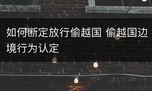 如何断定放行偷越国 偷越国边境行为认定