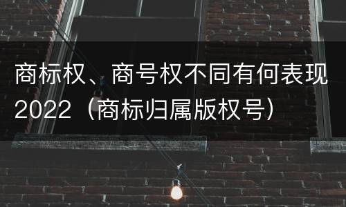商标权、商号权不同有何表现2022（商标归属版权号）