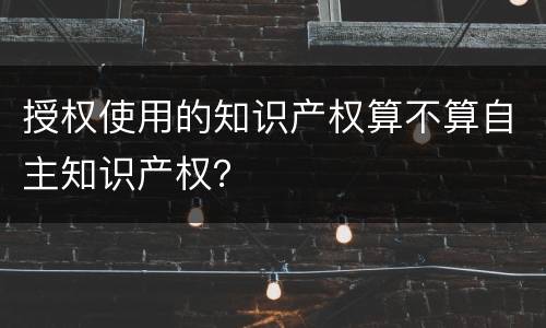 授权使用的知识产权算不算自主知识产权？