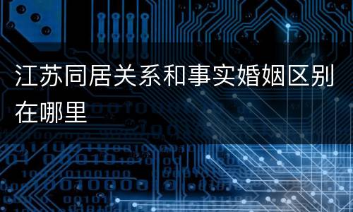江苏同居关系和事实婚姻区别在哪里