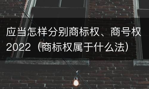 应当怎样分别商标权、商号权2022（商标权属于什么法）