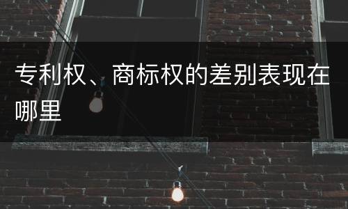 专利权、商标权的差别表现在哪里