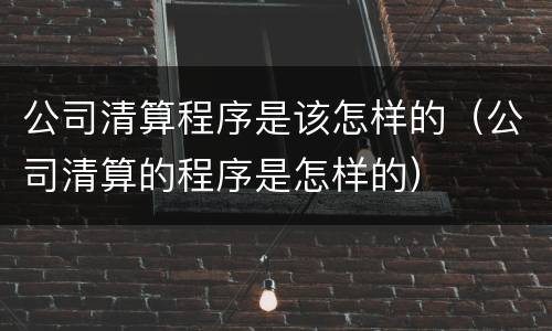 公司清算程序是该怎样的（公司清算的程序是怎样的）