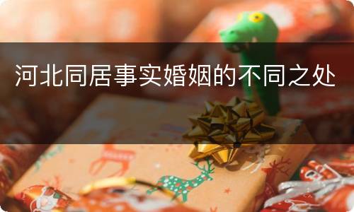 河北同居事实婚姻的不同之处