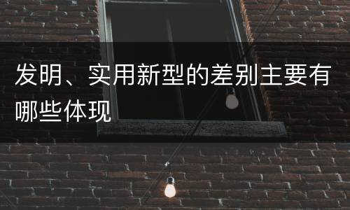发明、实用新型的差别主要有哪些体现