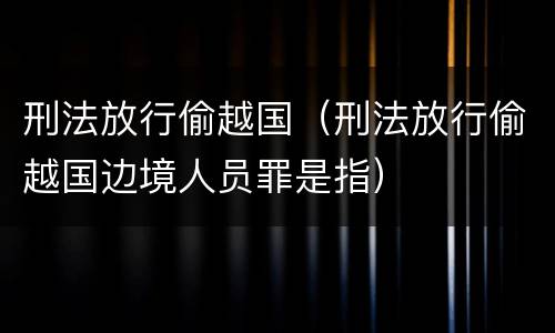 刑法放行偷越国（刑法放行偷越国边境人员罪是指）