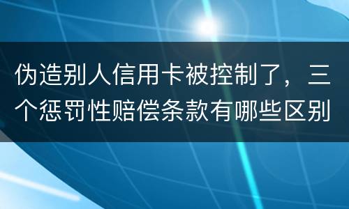 伪造别人信用卡被控制了，三个惩罚性赔偿条款有哪些区别呢