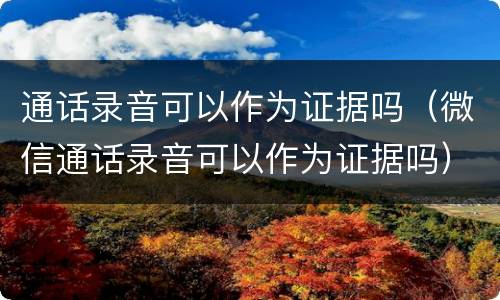 通话录音可以作为证据吗（微信通话录音可以作为证据吗）