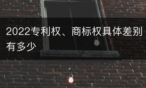 2022专利权、商标权具体差别有多少