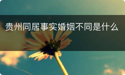 贵州同居事实婚姻不同是什么