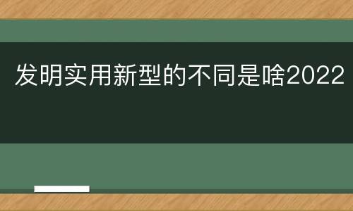 发明实用新型的不同是啥2022