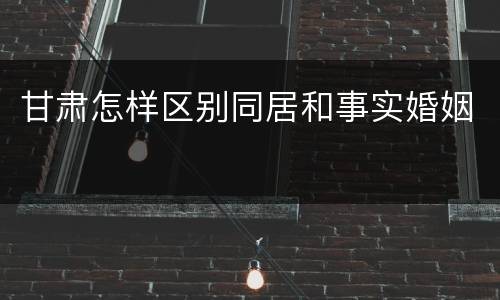 甘肃怎样区别同居和事实婚姻
