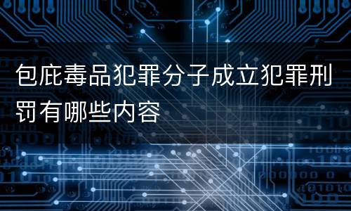 包庇毒品犯罪分子成立犯罪刑罚有哪些内容