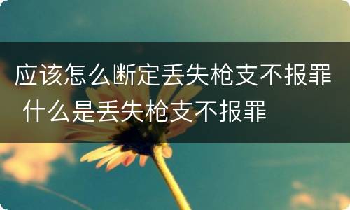 应该怎么断定丢失枪支不报罪 什么是丢失枪支不报罪