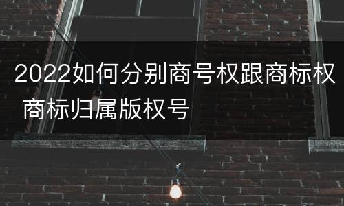 2022如何分别商号权跟商标权 商标归属版权号
