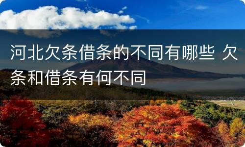 河北欠条借条的不同有哪些 欠条和借条有何不同