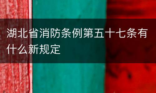 湖北省消防条例第五十七条有什么新规定