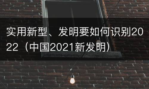 实用新型、发明要如何识别2022（中国2021新发明）