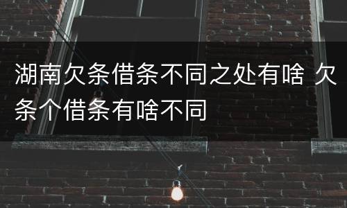 湖南欠条借条不同之处有啥 欠条个借条有啥不同