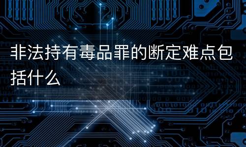 非法持有毒品罪的断定难点包括什么