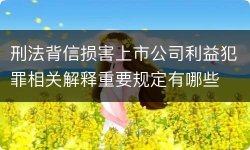 刑法背信损害上市公司利益犯罪相关解释重要规定有哪些