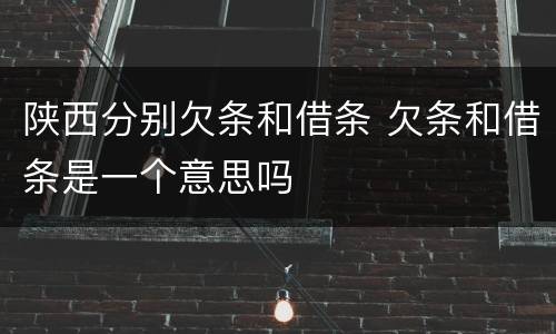 陕西分别欠条和借条 欠条和借条是一个意思吗