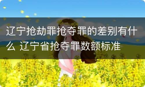 辽宁抢劫罪抢夺罪的差别有什么 辽宁省抢夺罪数额标准