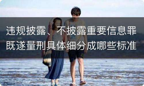 违规披露、不披露重要信息罪既遂量刑具体细分成哪些标准