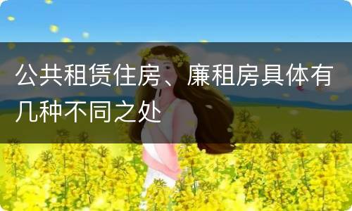 公共租赁住房、廉租房具体有几种不同之处