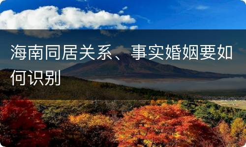 海南同居关系、事实婚姻要如何识别