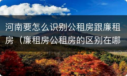 河南要怎么识别公租房跟廉租房（廉租房公租房的区别在哪里）