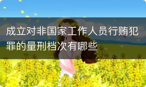 成立对非国家工作人员行贿犯罪的量刑档次有哪些