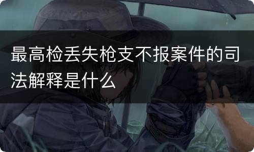 最高检丢失枪支不报案件的司法解释是什么