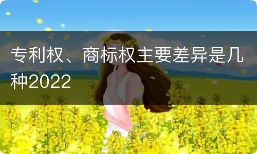 专利权、商标权主要差异是几种2022