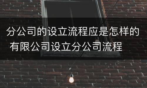 分公司的设立流程应是怎样的 有限公司设立分公司流程