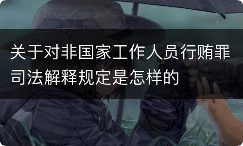 关于对非国家工作人员行贿罪司法解释规定是怎样的