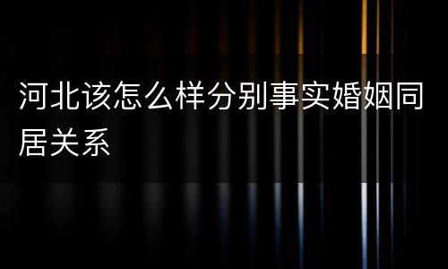 河北该怎么样分别事实婚姻同居关系