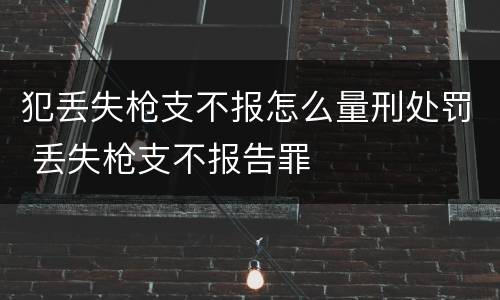 犯丢失枪支不报怎么量刑处罚 丢失枪支不报告罪