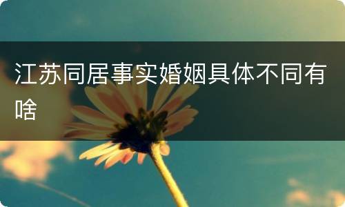 江苏同居事实婚姻具体不同有啥