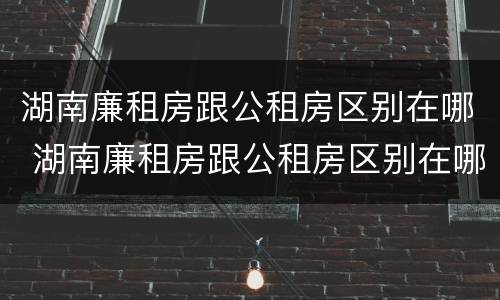 湖南廉租房跟公租房区别在哪 湖南廉租房跟公租房区别在哪儿