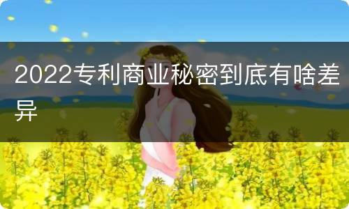 2022专利商业秘密到底有啥差异