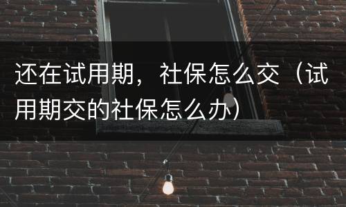 还在试用期，社保怎么交（试用期交的社保怎么办）