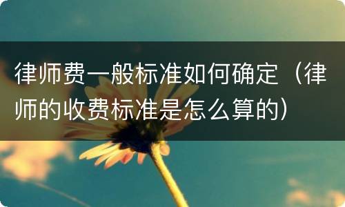 律师费一般标准如何确定（律师的收费标准是怎么算的）